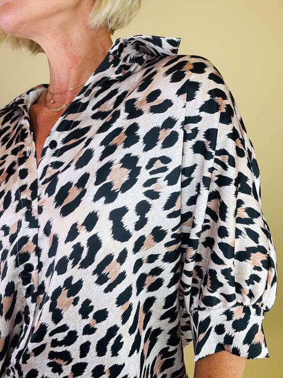 Beauty at the bay leopard top