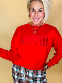 Joyful velvet patch luxe pullover