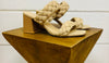THE BRANDY BRAIDED STRAP SANDALS